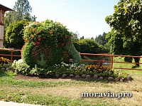 Курорт Лухачовицы.